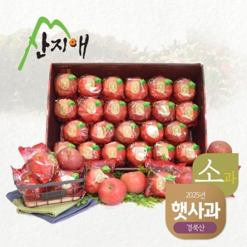 산지애 2025햇사과 씻어나온 어린이 꿀사과 5kg 1box 소과