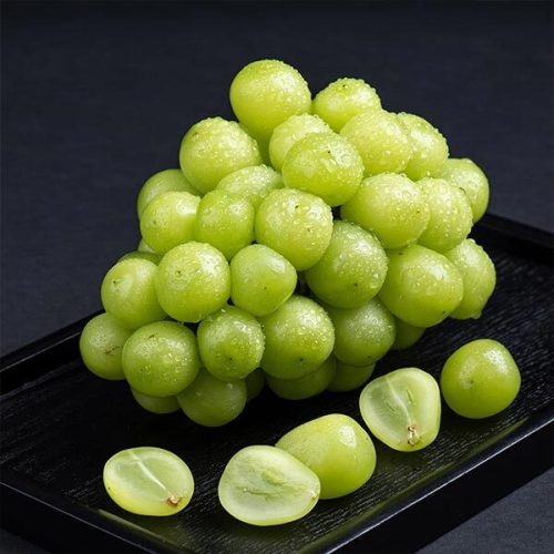 사과랑 자연맛남 고당도 프리미엄 샤인머스켓 2.4kg 3수/특등급