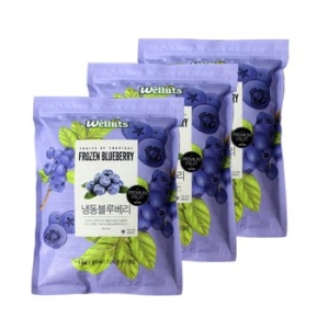 웰루츠  A등급 냉동 블루베리 3kg