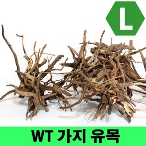 쁘띠엘린 컴플렛 WT 가지유목 L /모스활착/어항장식/레이아웃