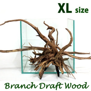 수족관 가지유목 XL 40cm이상 어항장식/모스활착/수조