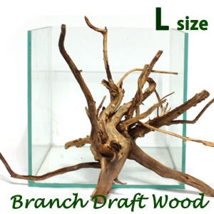 한국여우  수족관 가지유목 L  어항장식/모스활착/수조