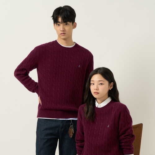빈폴 AVE Essential 남녀공용 케이블 라운드 니트 와인_BC5951E05Z