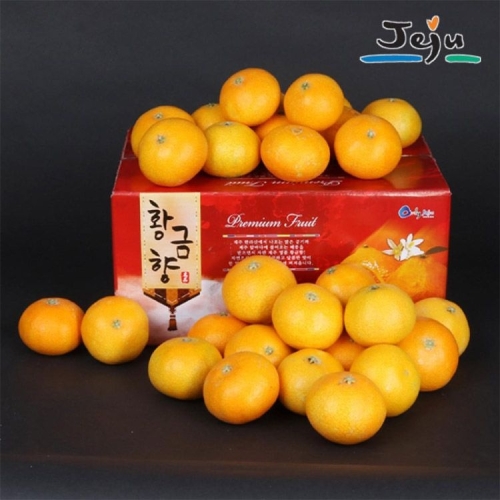 제주연가  산지직송 제주 황금향 15~20과 5kg