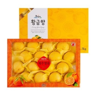 제철진미  제주 황금향 선물세트 5kg 15-20과