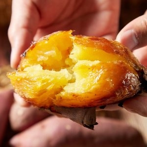 달찐과일  윤승하님 생산 해남 황토 호박고구마 5kg 중상