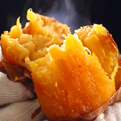 소리팜  25년 햇 해남 호박고구마 5kg 특상