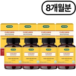 자생앤 커큐민 바이오페린 120정