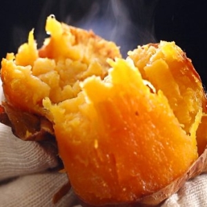 소리팜  25년 햇 해남 호박고구마 5kg 중상