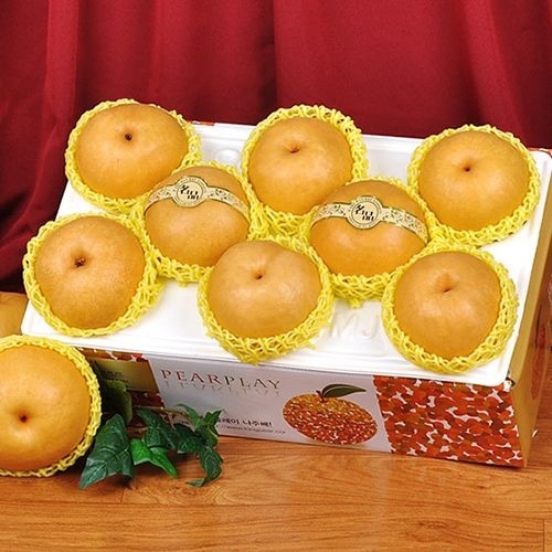 팜투맘  순차출고 나주 신고배 5kg 10-11과 / 일반박스