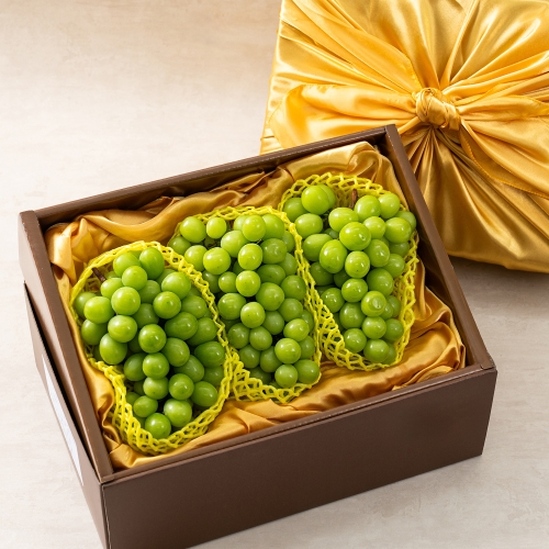 과일꾼  보자기 에어셀포장 샤인머스켓 특품 선물세트 2.3kg/3수