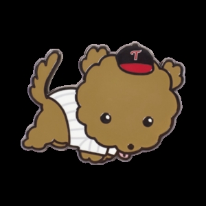 LG전자 트윈스 x 마루는강쥐 강쥐마루 뱃지 멀티 Tw Maru is a Puppy Badge Multi 954907