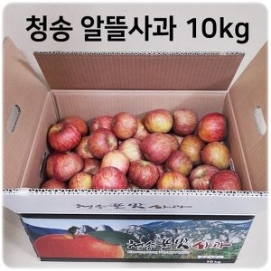 청송사과  10kg 알뜰흠집 꼬마사과 산지직송 25년 햇사과 꿀사과