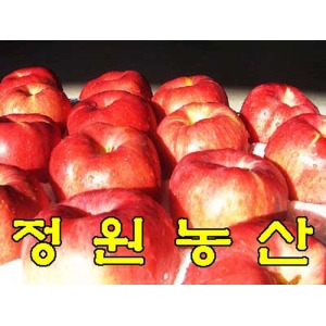 정원농산  껍질째먹는사과10kg마른기스 햇사과 출시 가정용흠사과 홍로.아리수
