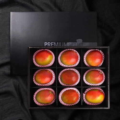 델리후르츠  애플망고 프리미엄 선물세트 9과