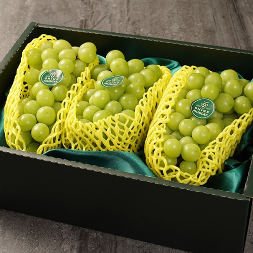 감동  세원팜스 고당도 샤인머스캣 2.3kg 3수_선물세트