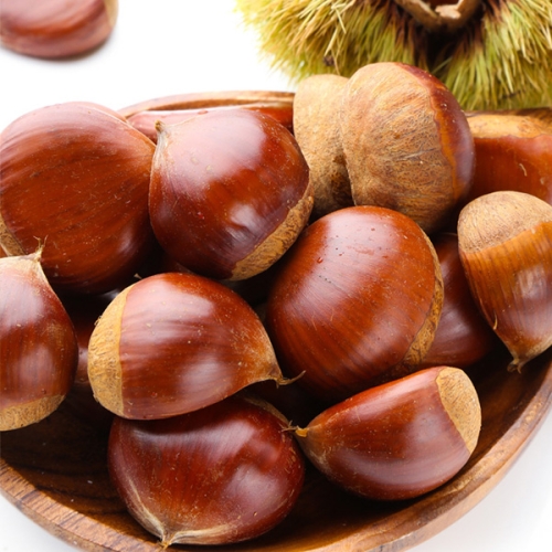 자연마루 뜰안애 부여 햇 알밤 5kg 특