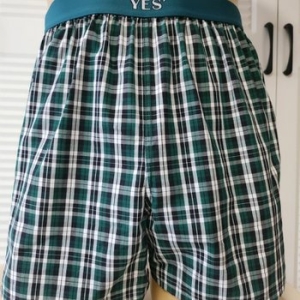 YES 곰돌이포인트 체크패턴 트렁크 YSMTB341GR