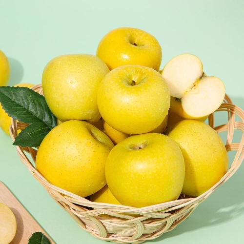 더조은푸드  황금사과 시나노골드 가정용 3kg 17-20과