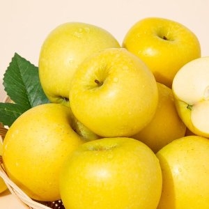 더조은푸드  더조은 황금사과 시나노골드 5kg 12-16과