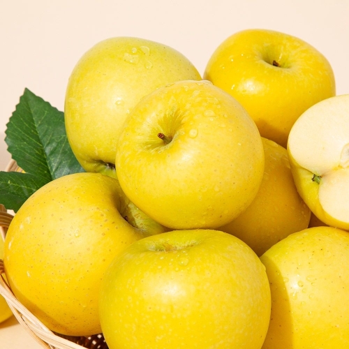 더조은  황금사과 시나노골드 가정용 3kg 15-18과