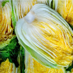 놀부농장  강원도 고랭지 영월 절임배추 20kg