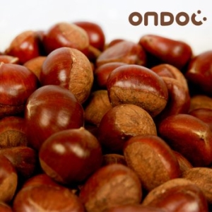 온도씨  삼조생 알밤 대 2kg