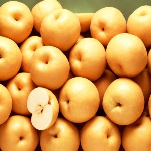 녹음상회  나주배 프리미엄 선물세트 8~10과 7.5kg