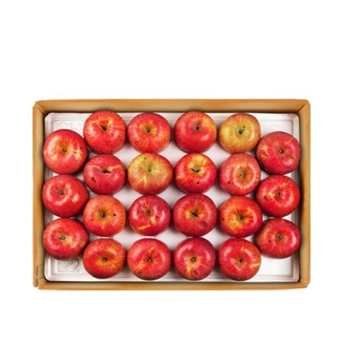 장길영사과  사과 알뜰 특대과 10~16과 5kg