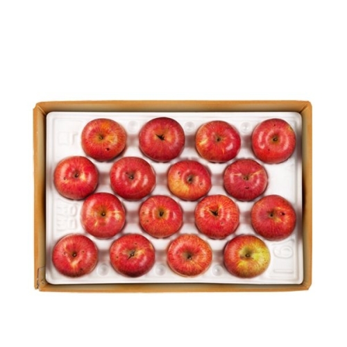 장길영사과  사과 알뜰 특대과 20~32과 10kg