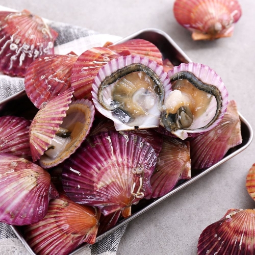 다농이네  통영 홍가리비 28미내외 1kg