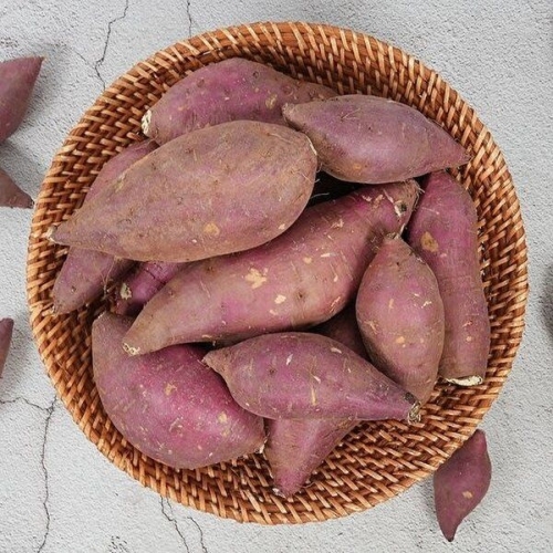 더싱싱  호박 고구마 특상 5kg