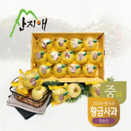 산지애  황금 사과 시나노골드 3kg