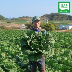 농부들의수확  해남 김장 절임배추 20kg