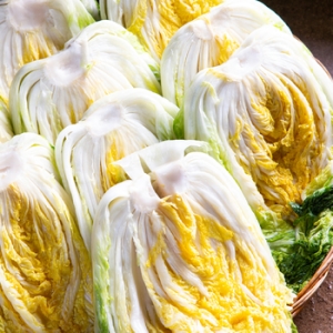 산해직송  괴산 절임배추 7~11포기 20kg