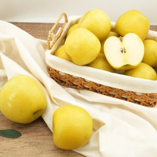 착한식탁  가정용 시나노골드 사과 중대과 5kg