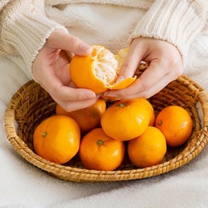 제주푸드마씸  서귀포 하례마을 노지감귤 소과 2S 5kg