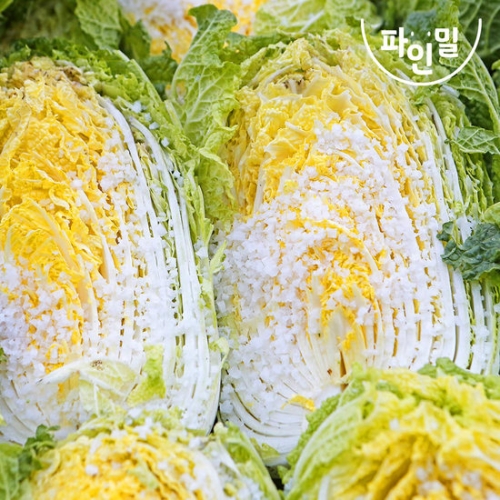 파인밀  절임배추 7~9포기 20kg