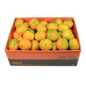 삼다몰  제주 노지 감귤 대과 35~40과내외 5kg