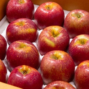 더조은푸드  경북 감홍사과 가정용 17~22과 5kg