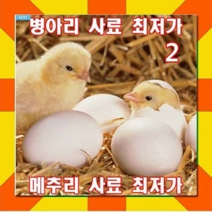 한솔이  이쁜싸다몰 병아리사료2
