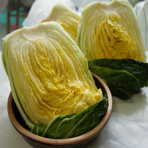 땅끝맛  절임배추 20kg