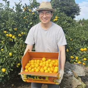 제주귤왕  노지귤 주스용 특대과 2L이상 10kg