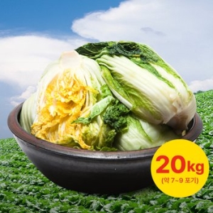자연애  영월 고랭지 절임배추 7~9포기 20kg