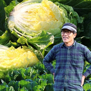 더착한농부  괴산절임배추 20kg