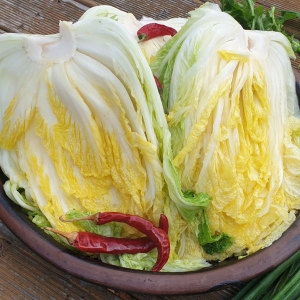 해남양가네  해남 절임배추 20kg