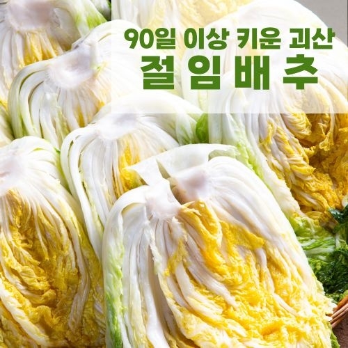 천상지애  90일키운 괴산 절임배추 7~9포기 20kg