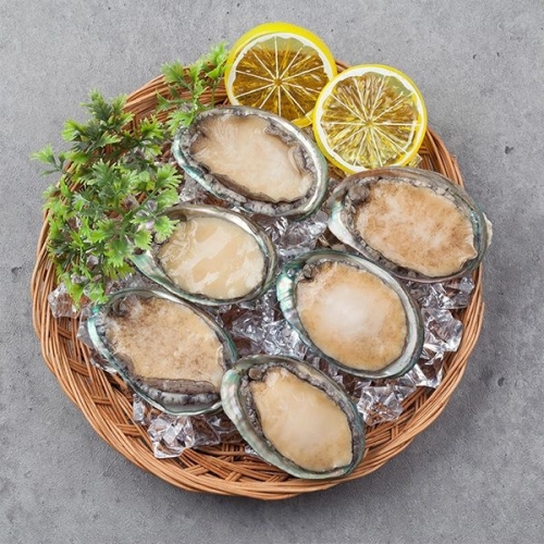 자연맛남  완도사랑 청정해역 참전복 31~40미 1kg