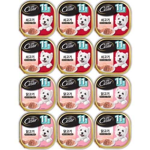 시저 11세이상 콤보 캔 100g