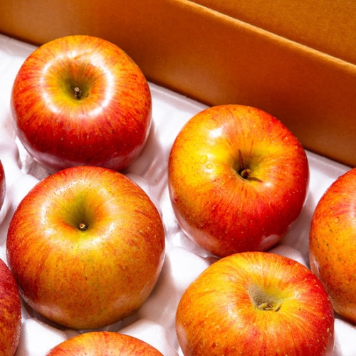 더조은푸드  경북 부사 사과 흠과 주스용 랜덤과 3kg